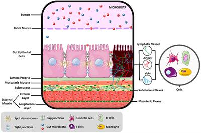 Is There an Exercise-Intensity Threshold Capable of Avoiding the Leaky Gut?